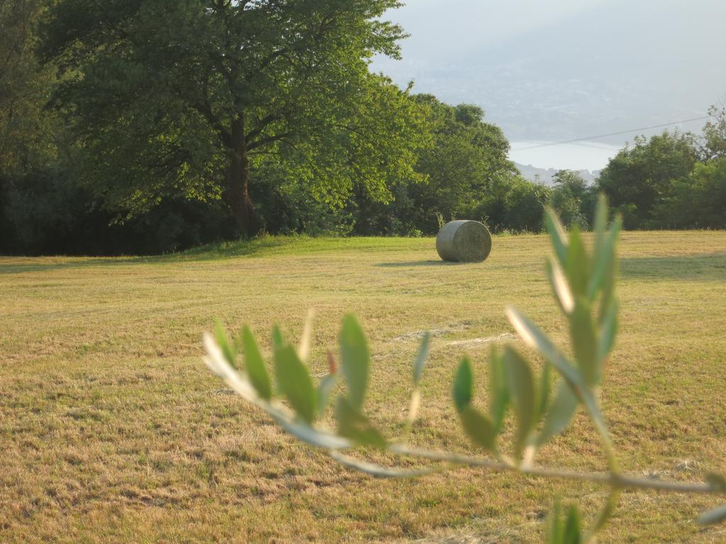 Agriturismo Deviscio 레코 외부 사진