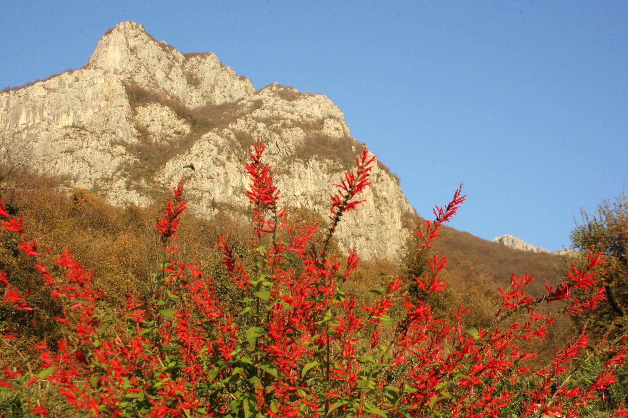 Agriturismo Deviscio 레코 외부 사진